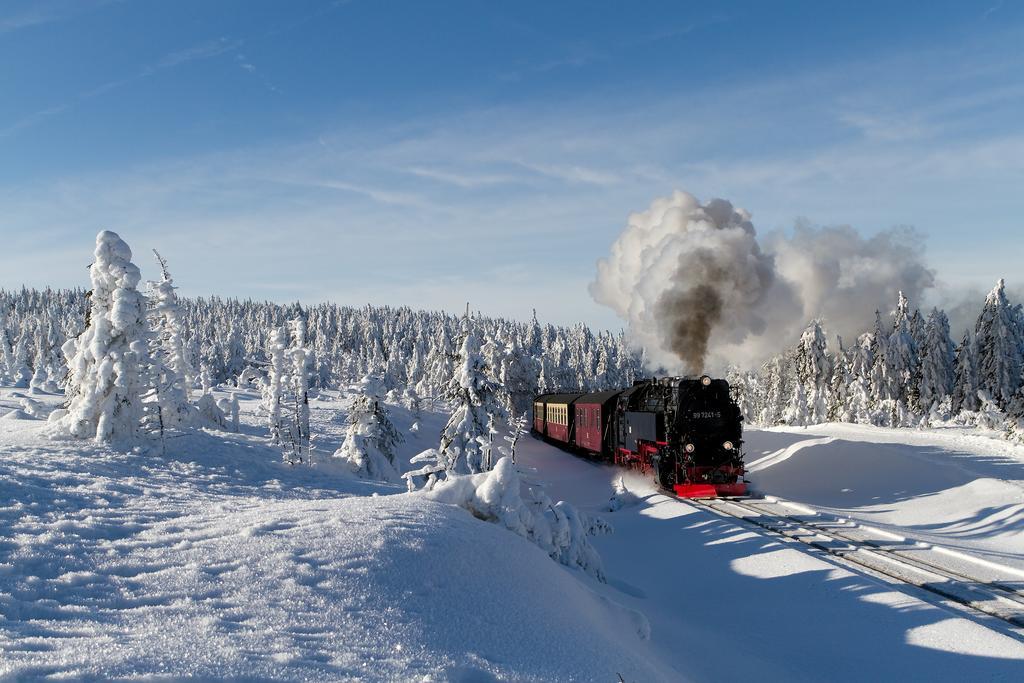 Vitalhotel Schulenberg Schulenberg im Oberharz Bagian luar foto